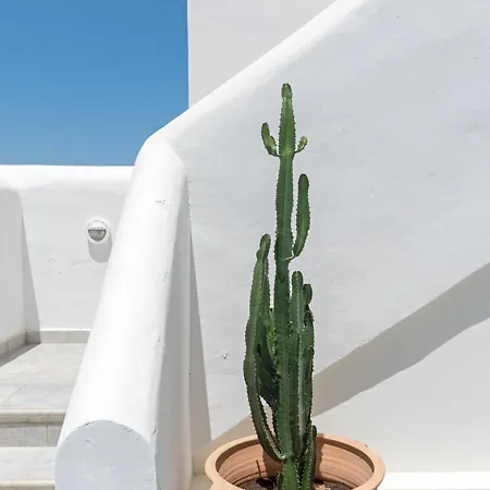 Апартаменты Aforastypalaia, Veranda House Astypalaia
